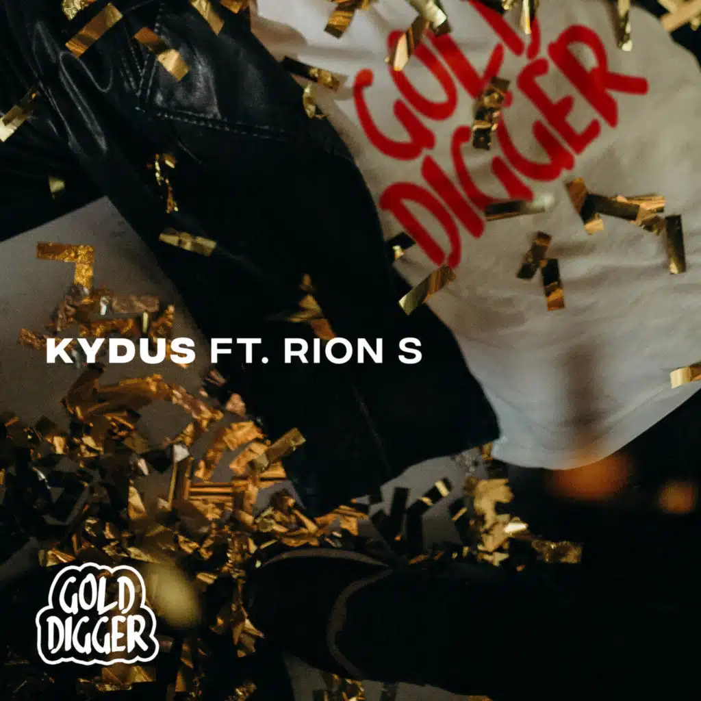Gold Digger (feat. Rion S)