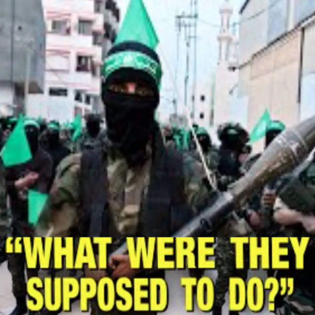 The Palestinians Had NO OTHER OPTIONS – Norman Finkelstein