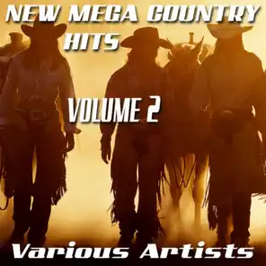 New Mega Country Hits, Vol. 2