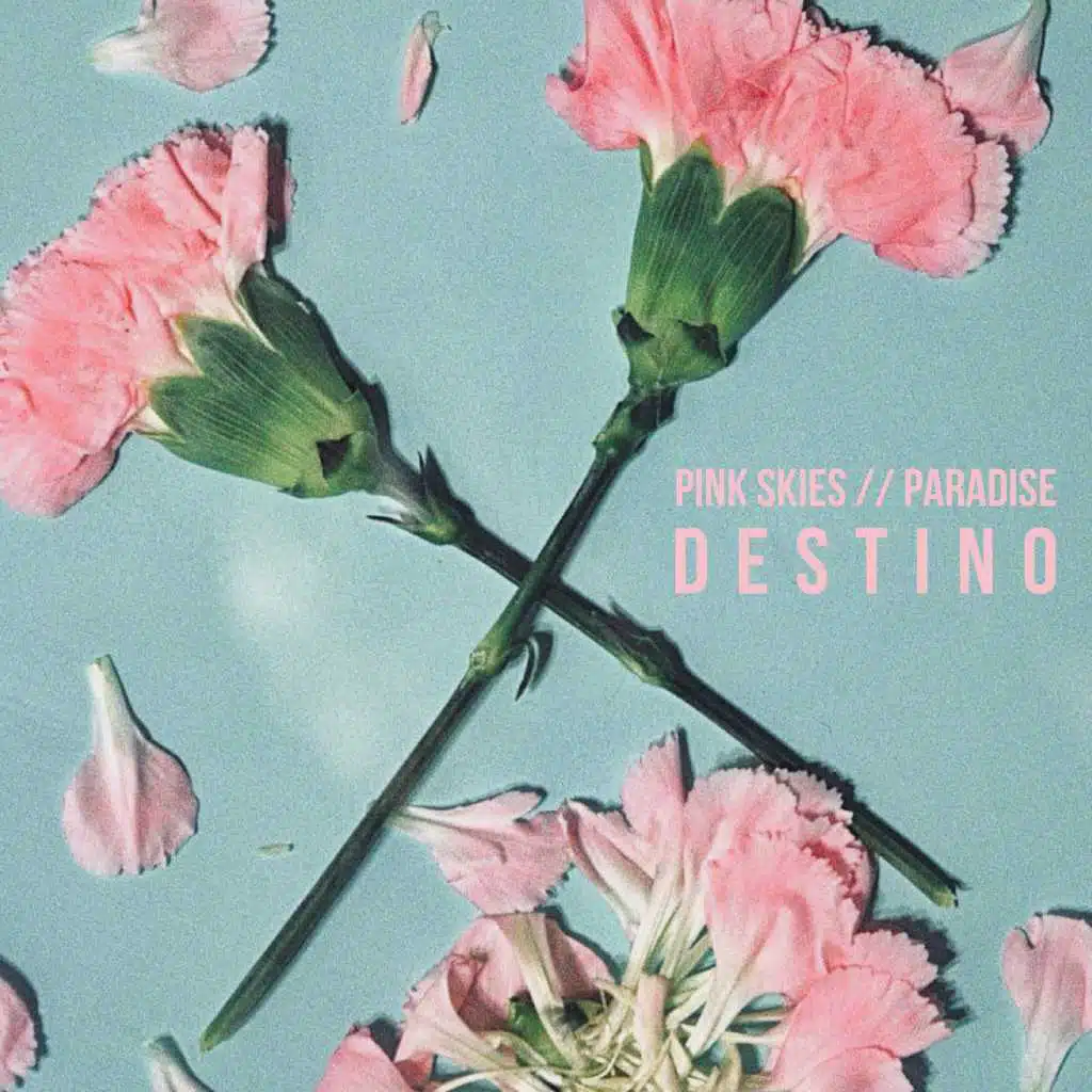 Pink Skies // Paradise