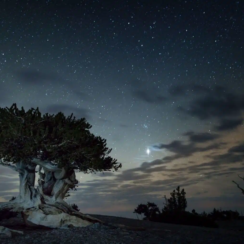 Exploring Dark Skies
