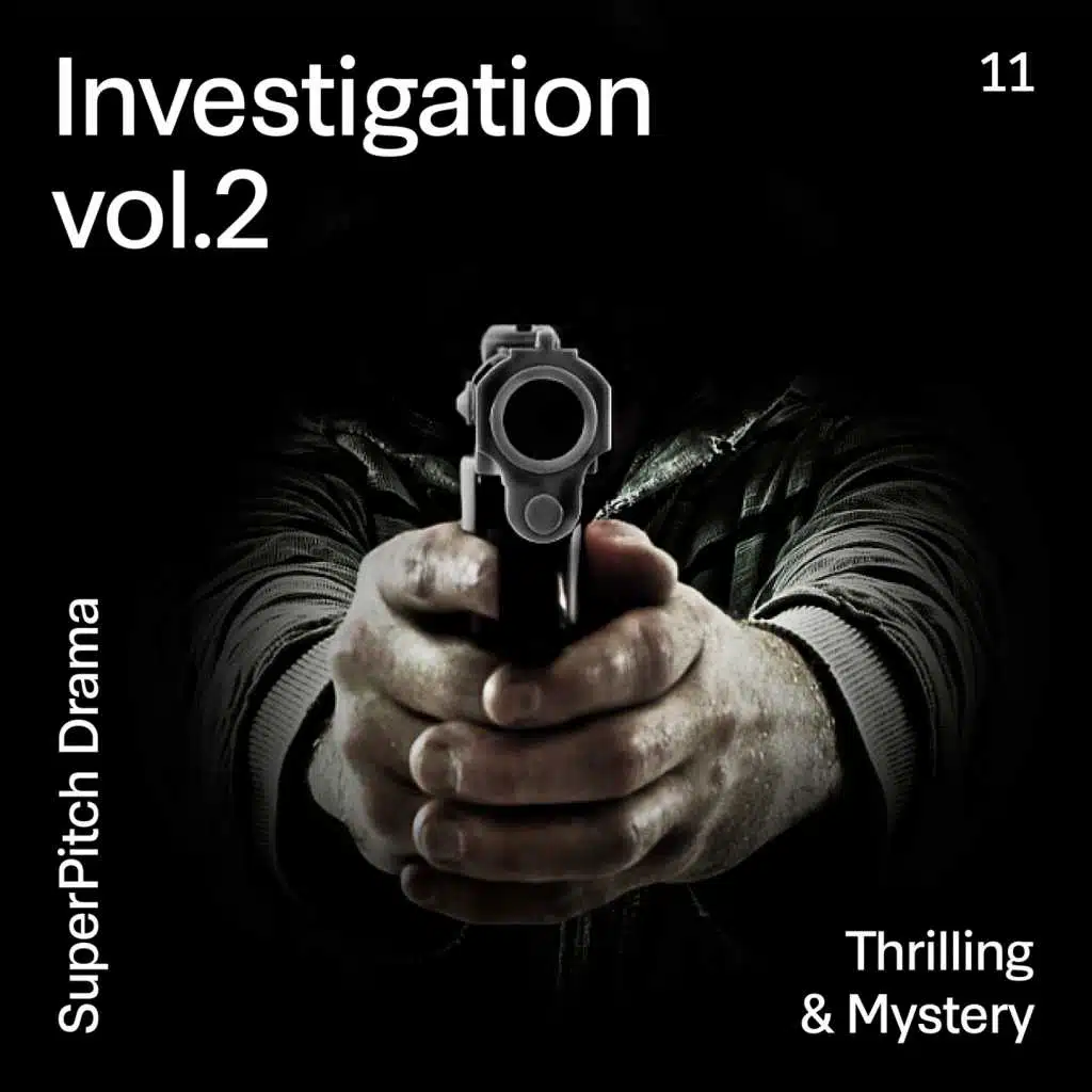 Investigation, Vol. 2 (Thrilling & Mystery)