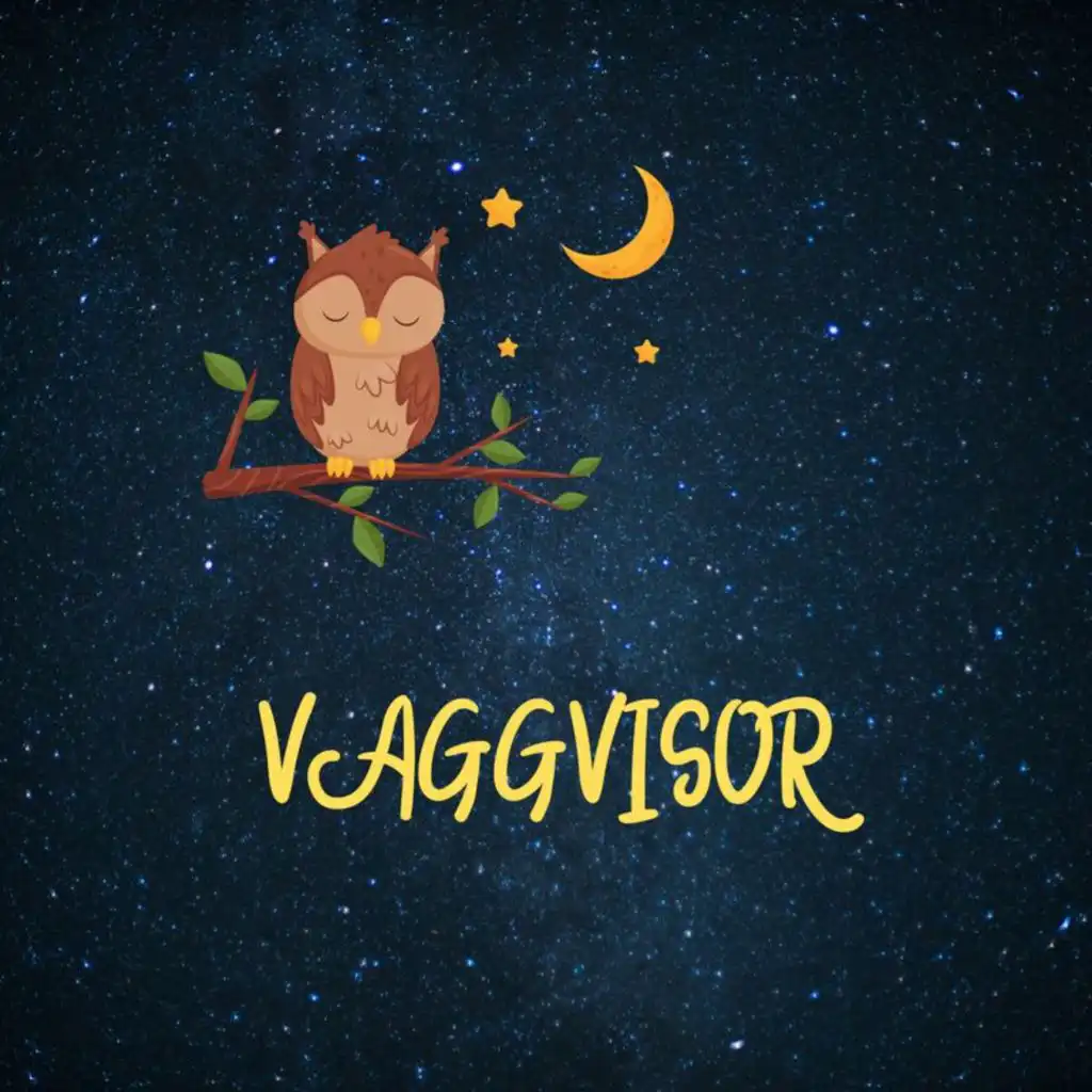 Vaggvisor