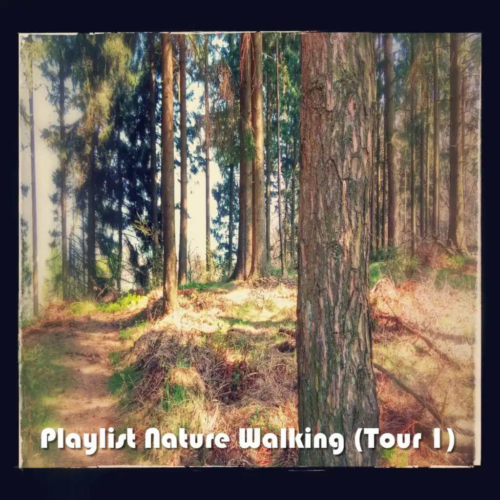 Playlist Nature Walking (Tour 1)