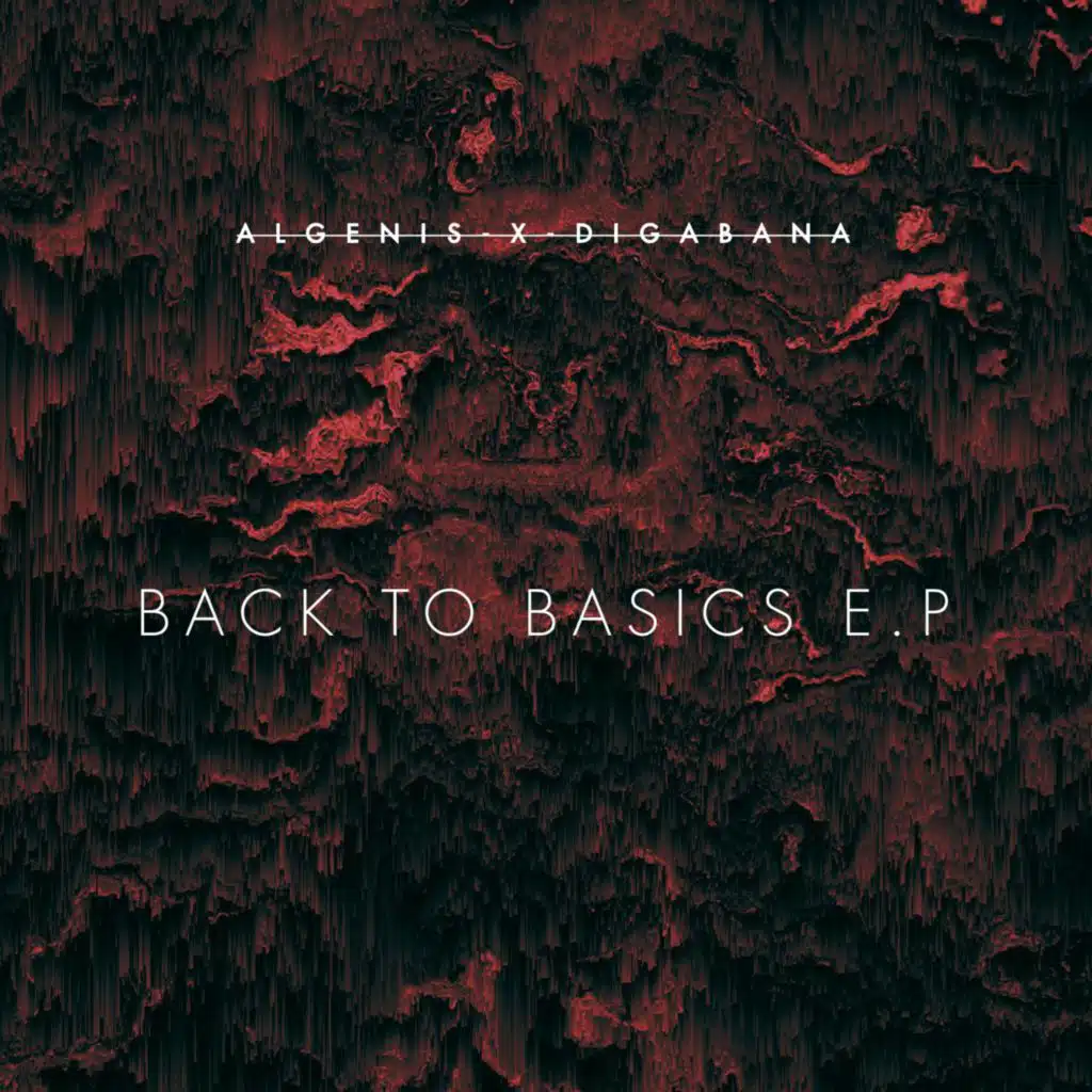 BACK TO BASICS (feat. DIGABANA)