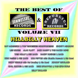 Best of Tennessee & Republic Records, Vol. VII - Hillbilly Heaven