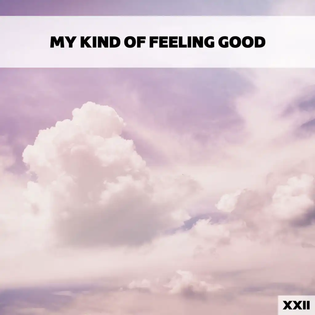 My Kind Of Feeling Good XXII