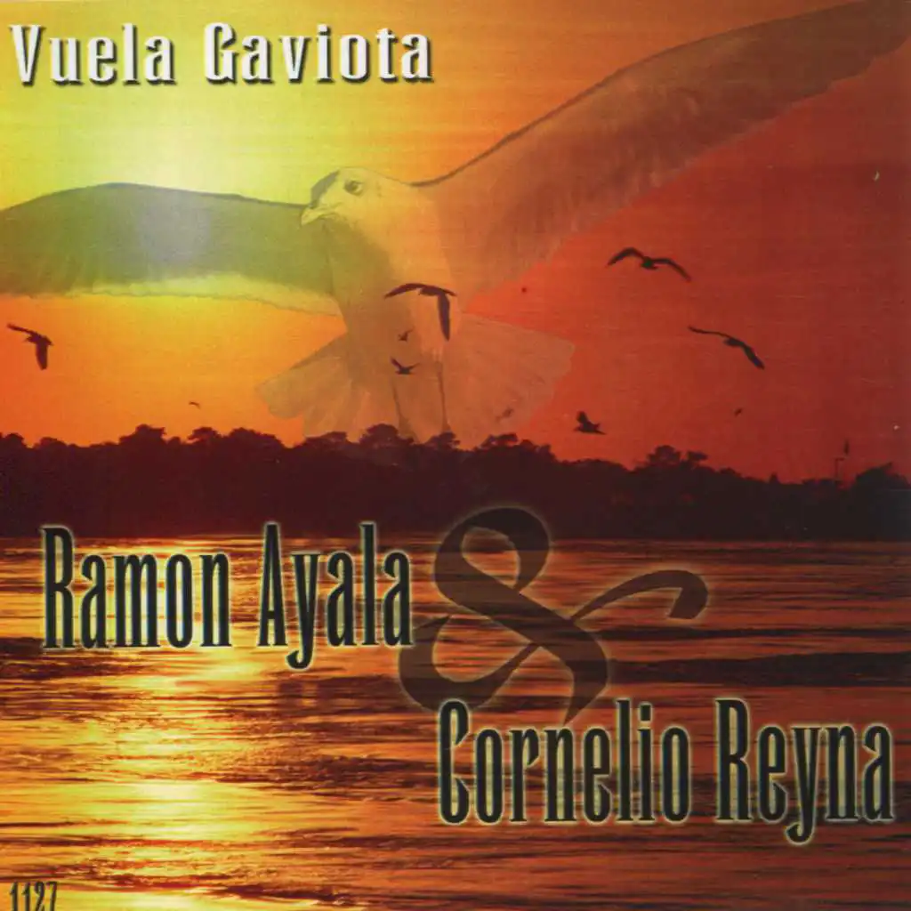 Vuela Gaviota