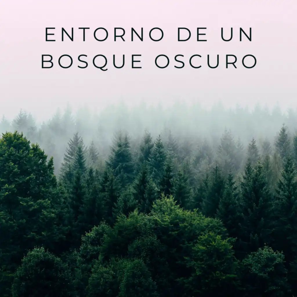 Sonidos Del Bosque