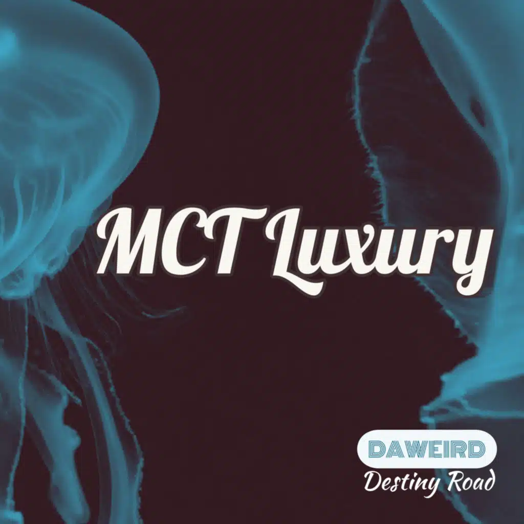 Destiny Road (Alan de Laniere Mix)