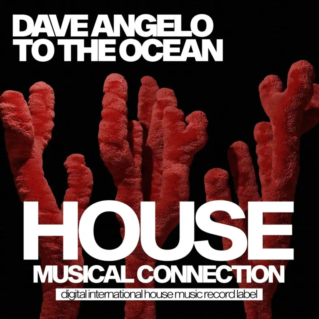Dave Angelo