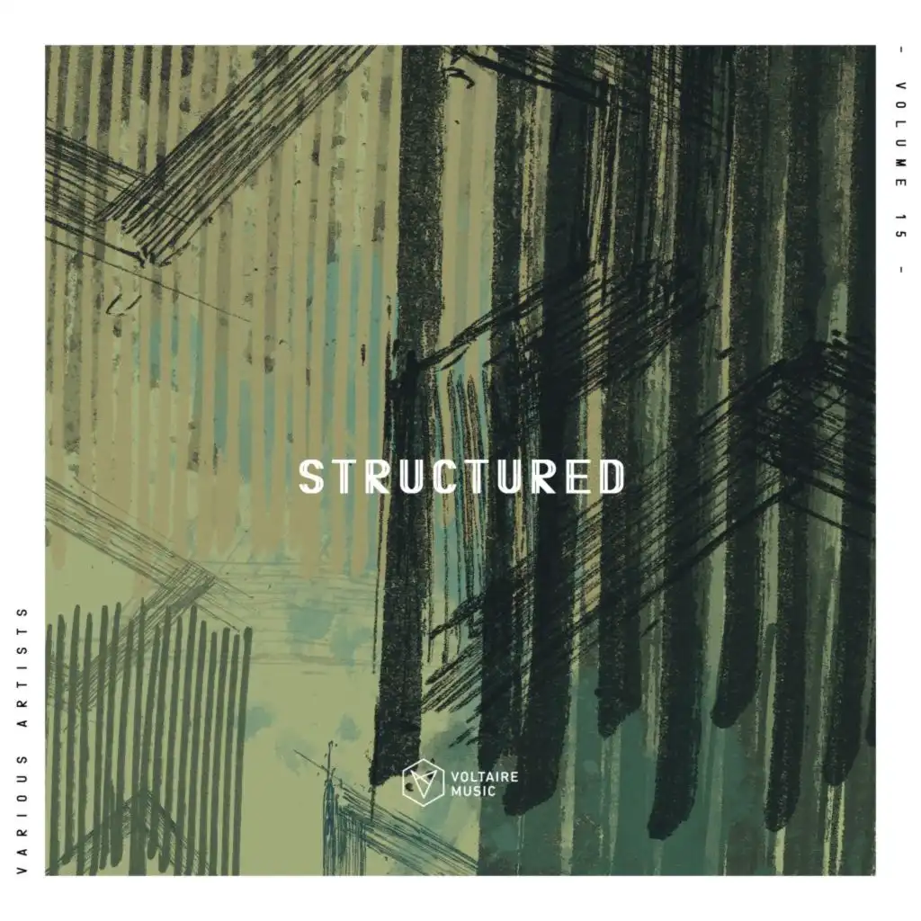 Voltaire Music Pres. Structured, Vol. 15