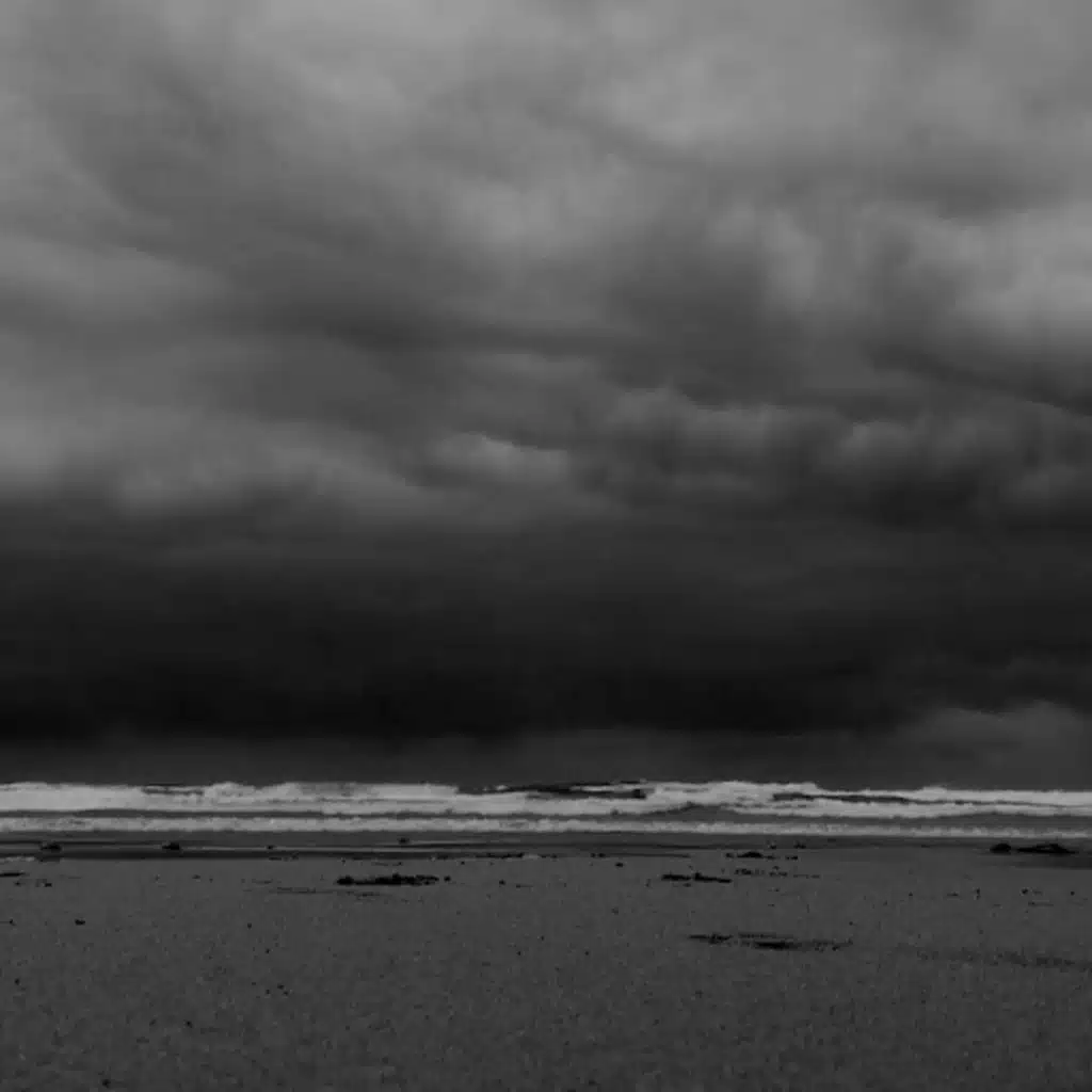 We Could Have It All