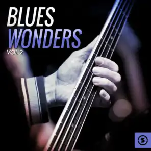 Blues Wonders, Vol. 2