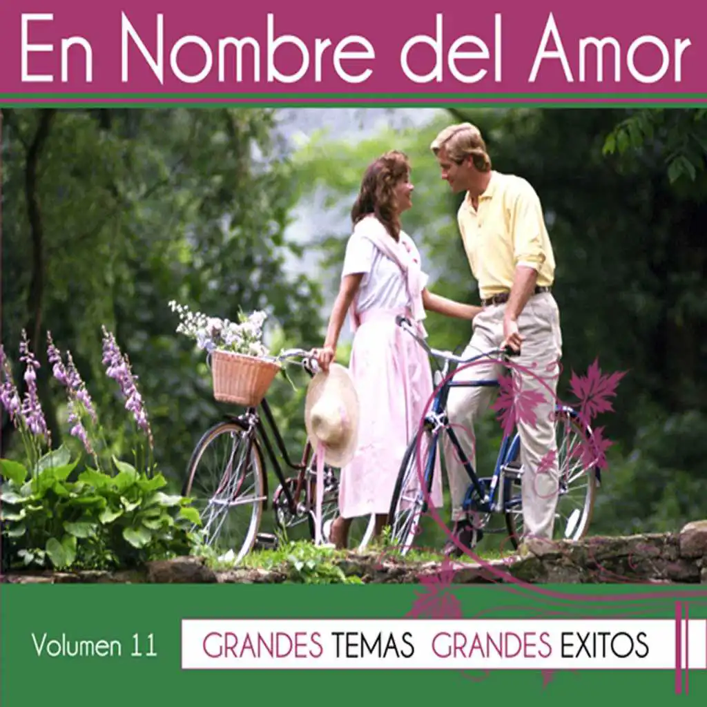 En Nombre del Amor Vol. 11
