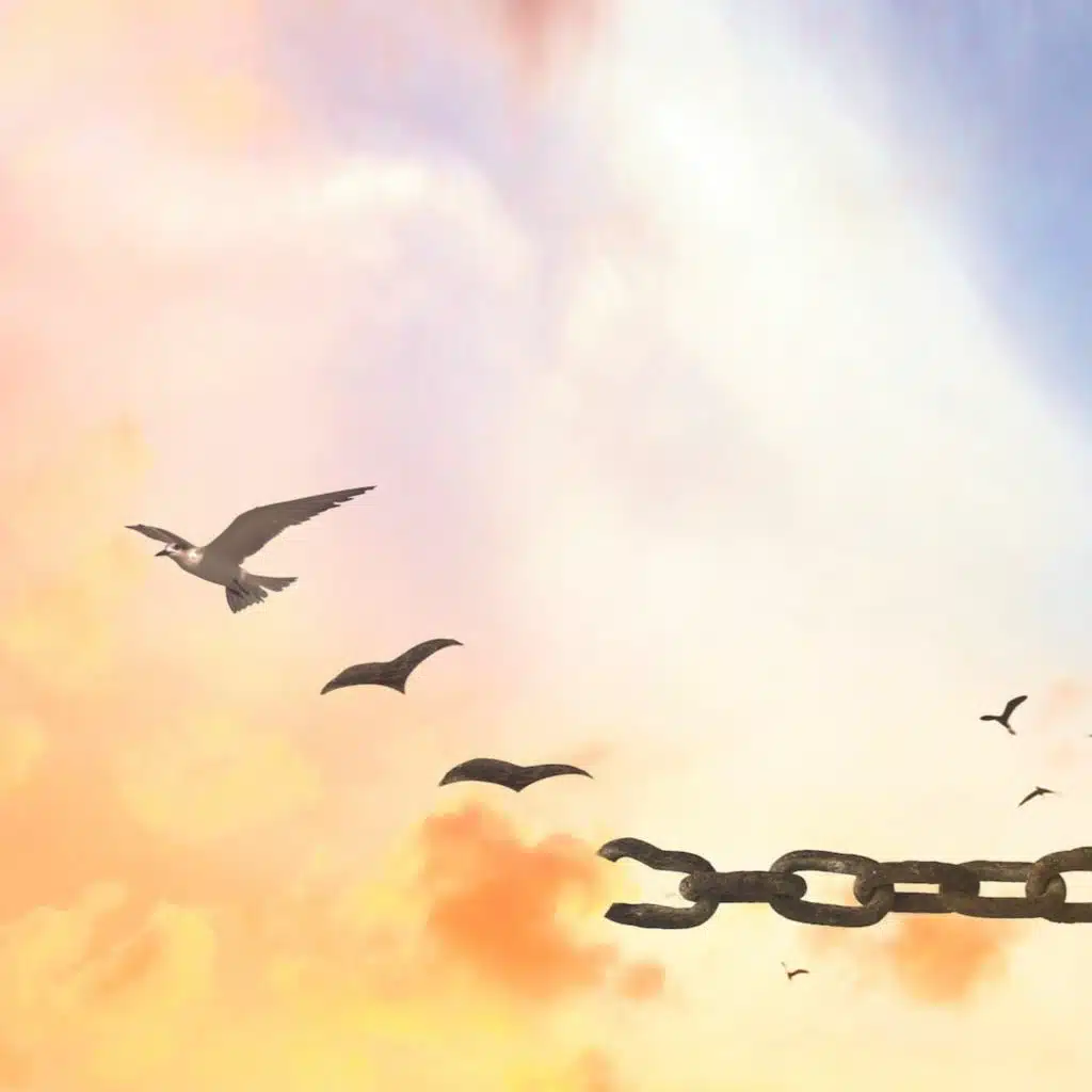 How to Forgive but Not Forget