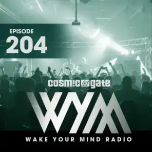 The Only Road (WYM204) (Cosmic Gate Remix)