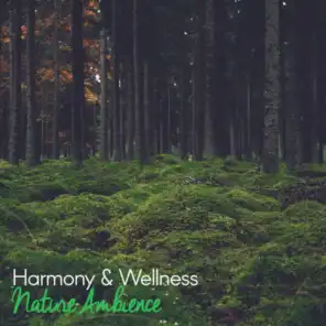 Harmony & Wellness: Nature Ambience