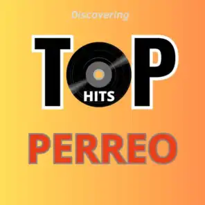 Top Hits Perreo