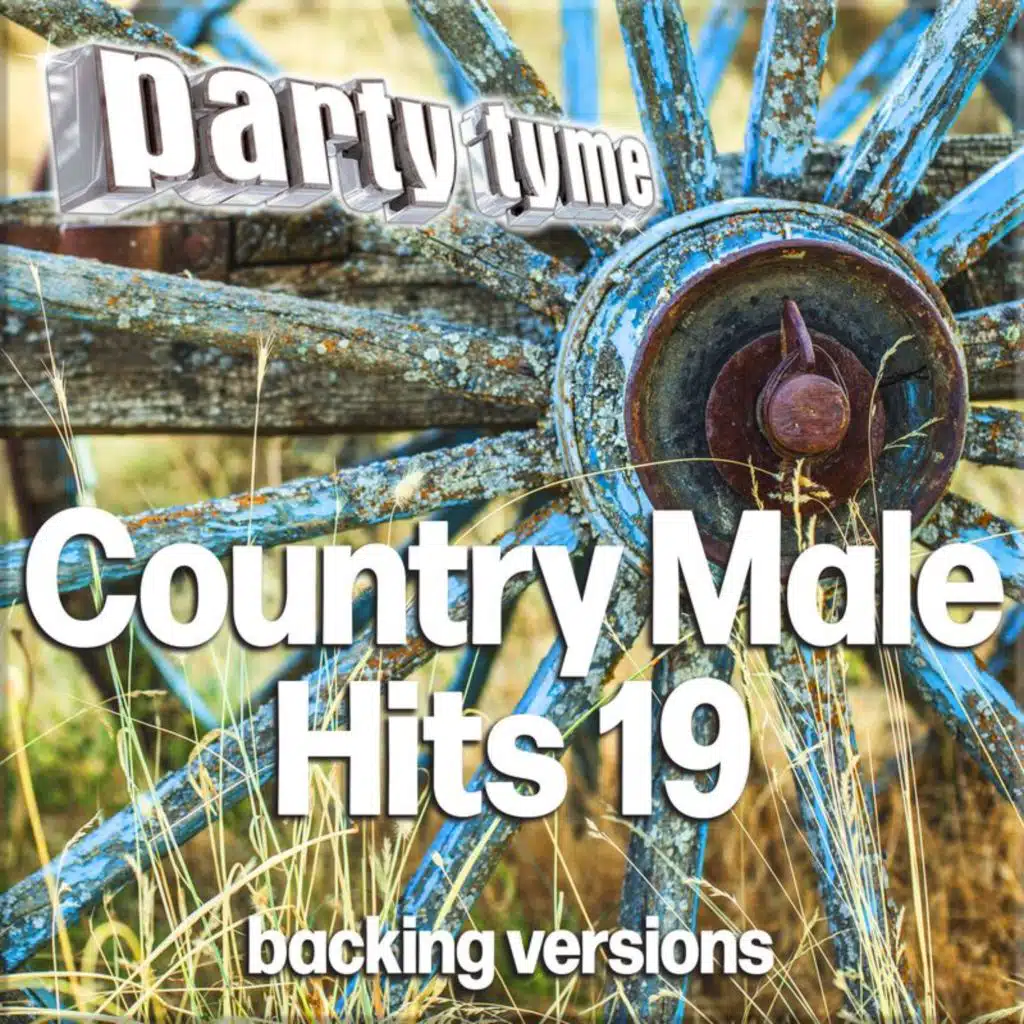 Country Male Hits 19 - Party Tyme (Backing Versions)