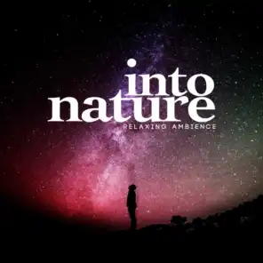 Into Nature: Relaxing Ambiance