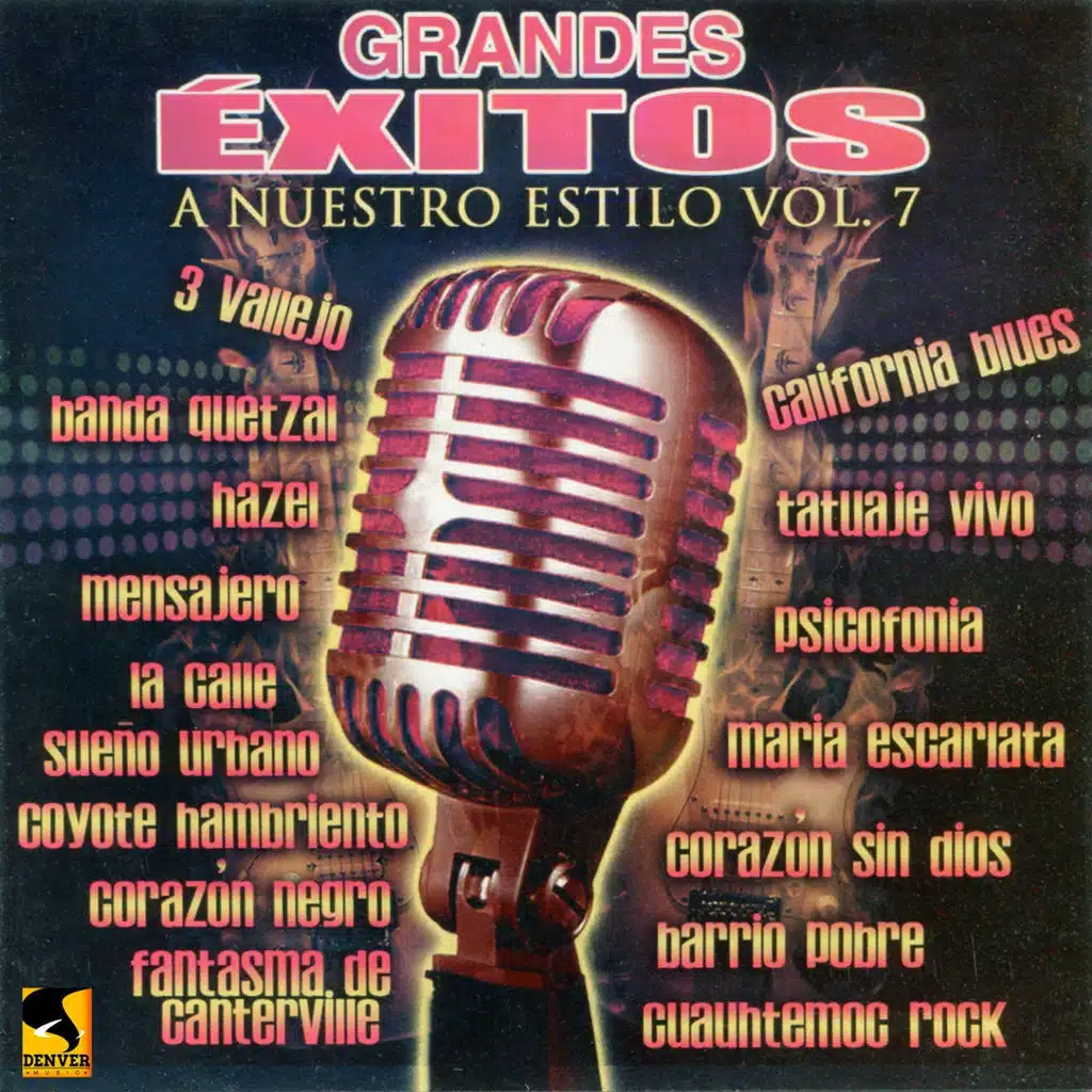 Grandes Éxitos a Nuestro Estilo, Vol. 7