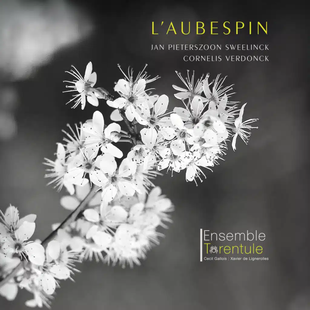 Ensemble Tarentule