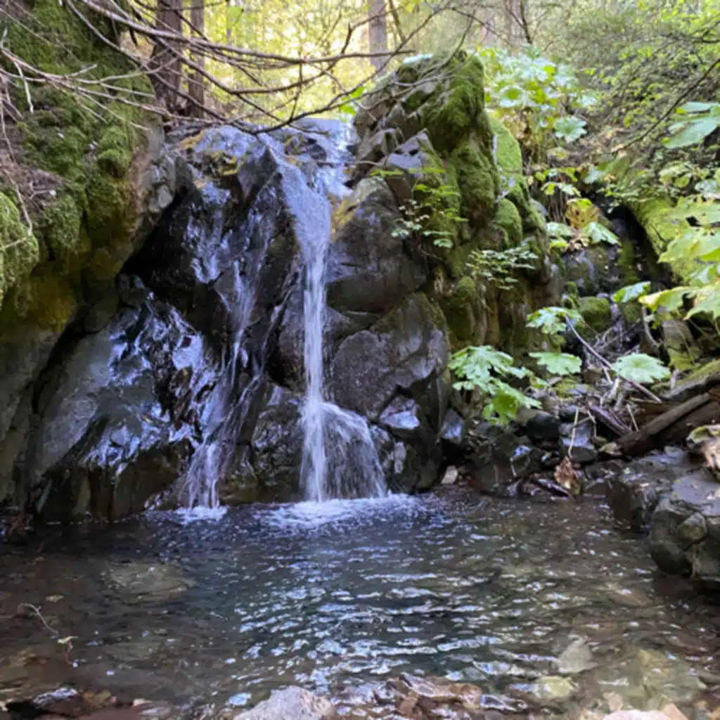 151: Autumn Day Beside Trough Creek