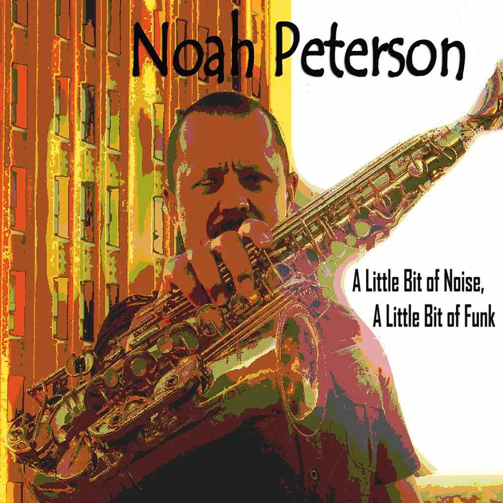 A Little Bit of Noise, A Little Bit of Funk