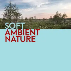 Soft Ambient Nature