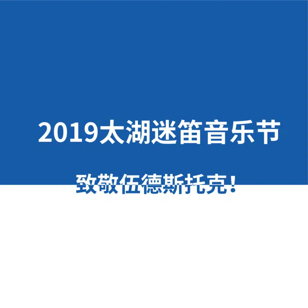 2019太湖迷笛音乐节