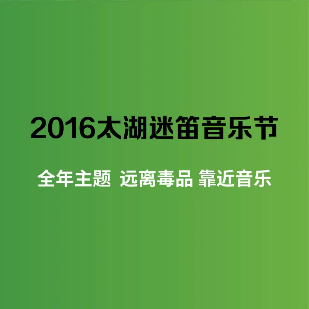 2016太湖迷笛音乐节