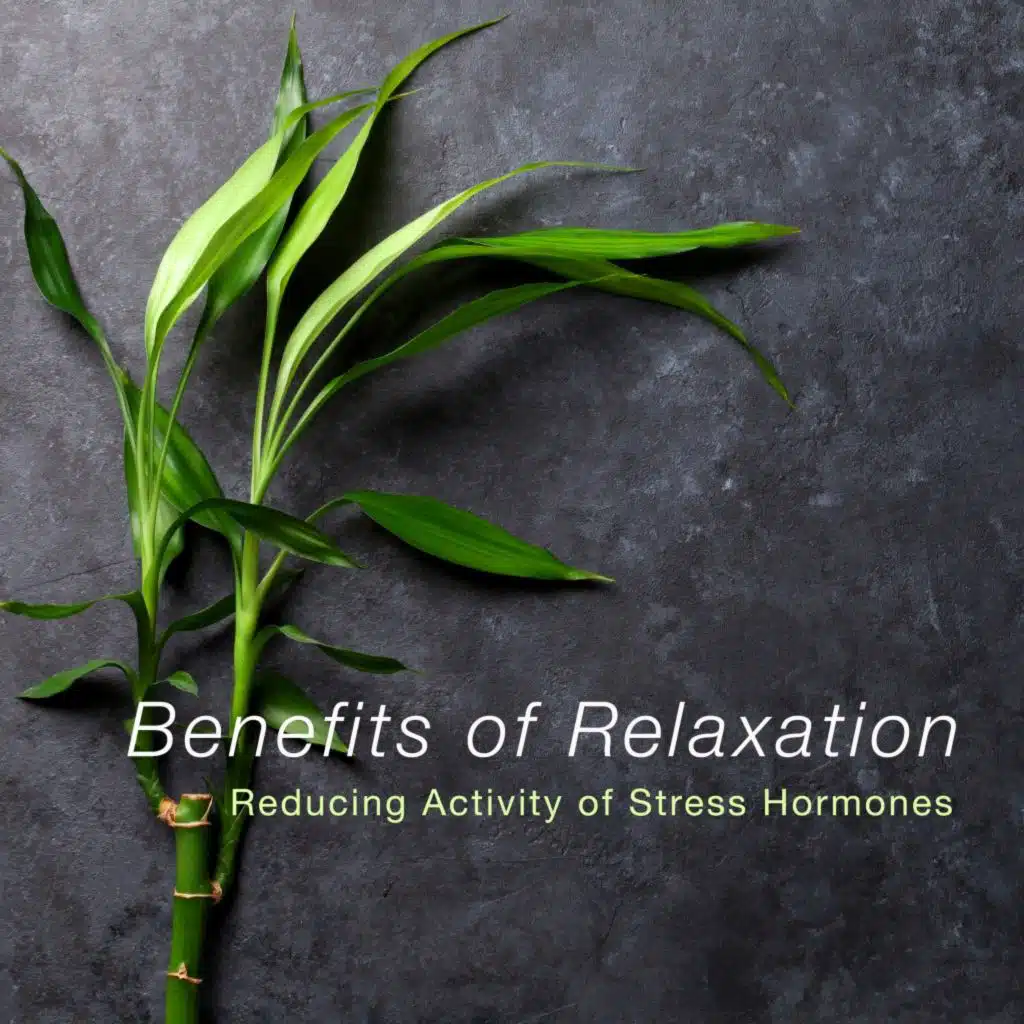 Benefits of Relaxation (Reducing Activity of Stress Hormones)