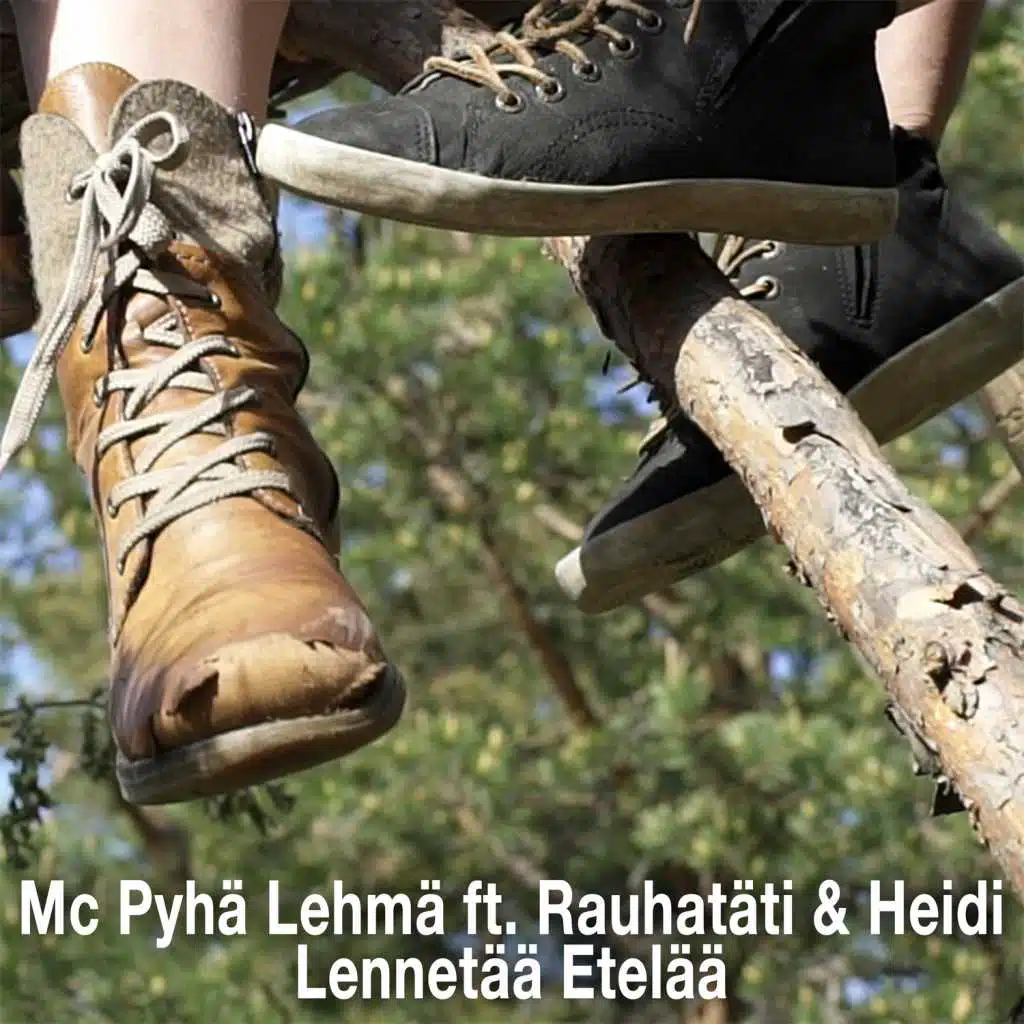 Lennetää etelää (feat. Rauhatäti & Heidi)