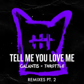 Tell Me You Love Me (Remixes Pt. 2)