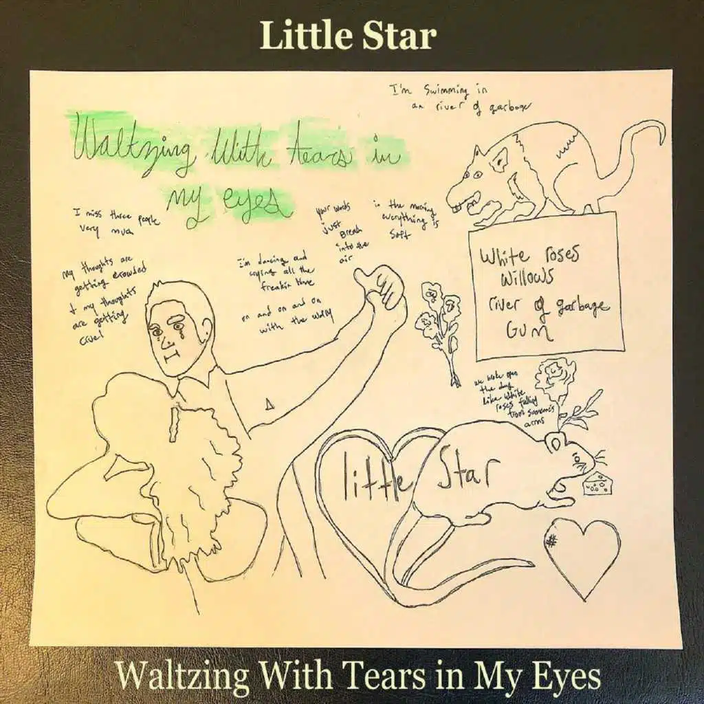 Waltzing with Tears in My Eyes