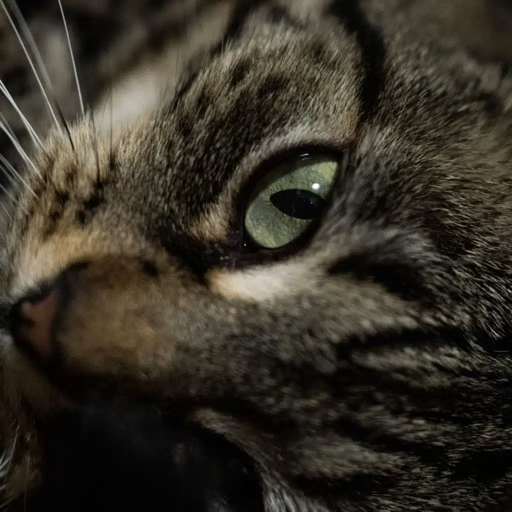 Late Night (Chillout Mix)