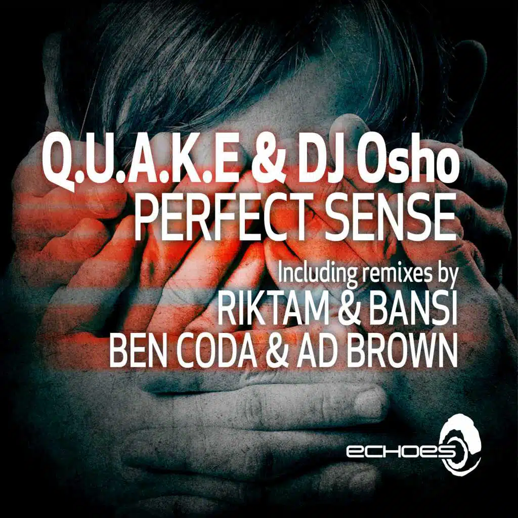 Perfect Sense (feat. Riktam & Bansi)