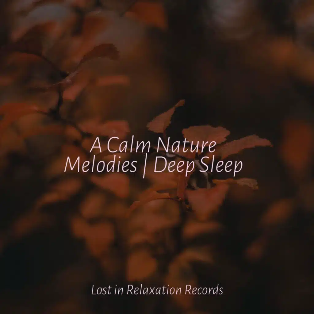 Sunny Days with Snow