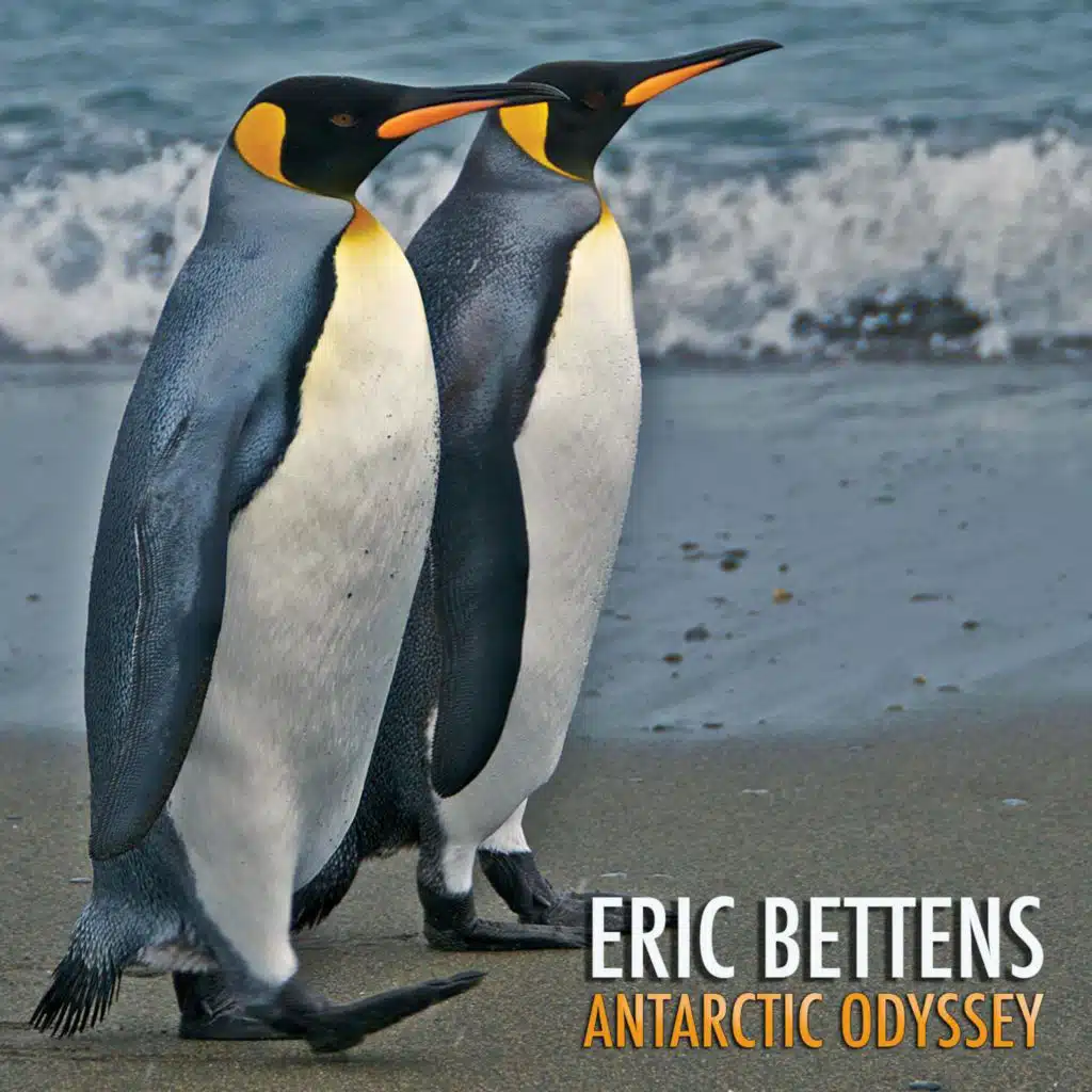 Antarctic Odyssey