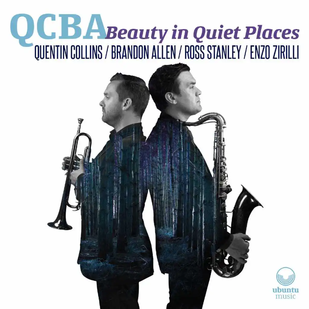 Beauty in Quiet Places (feat. Ross Stanley & Enzo Zirilli)