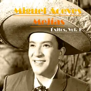 Miguel Aceves Mejias