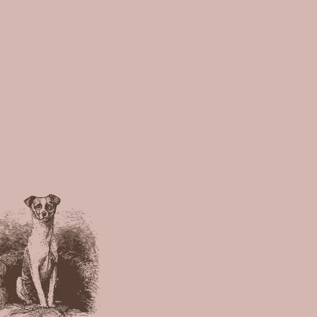 mr. everything he wanted/see you again