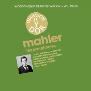 Wiener Symphoniker / Charles Adler