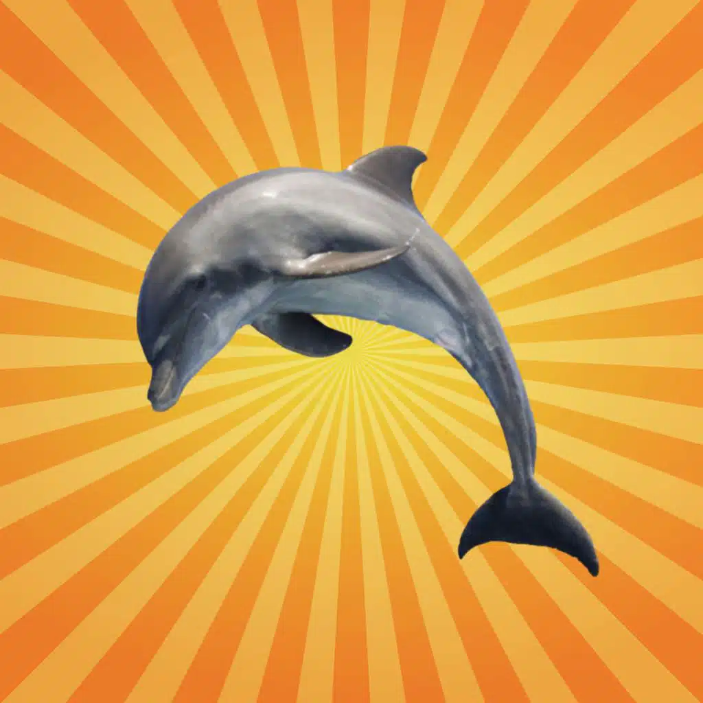 Les dauphins s'appellent par leurs prénoms [REDIFFUSION]