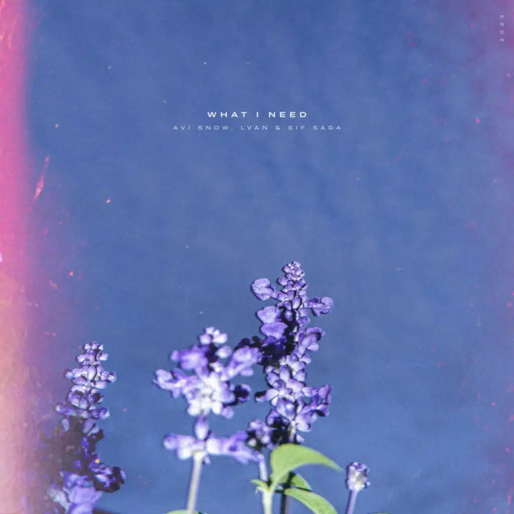 Avi Snow, LVAN & Sif Saga