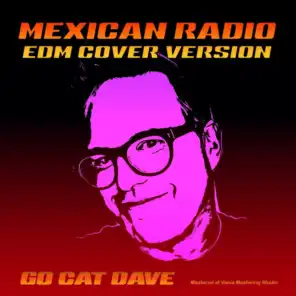 Mexican Radio (Edm Cover Version)