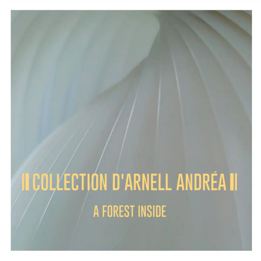 Collection d'Arnell-Andrea