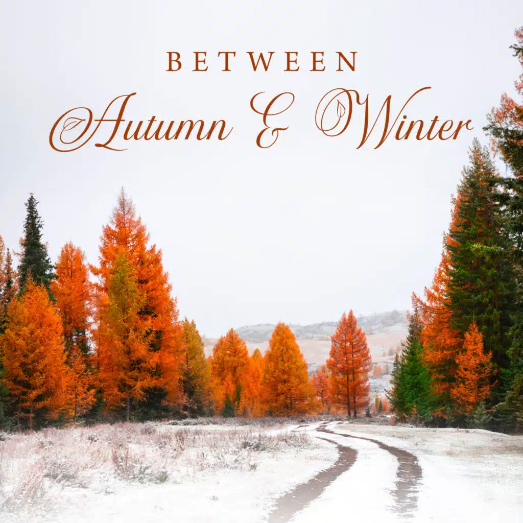 Between Autumn & Winter