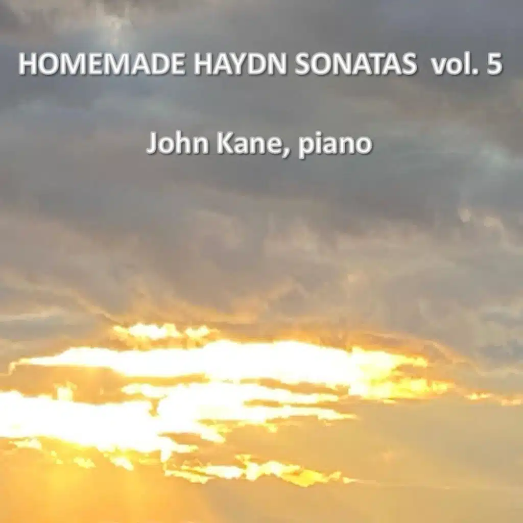 Homemade Haydn Sonatas, Vol. 5